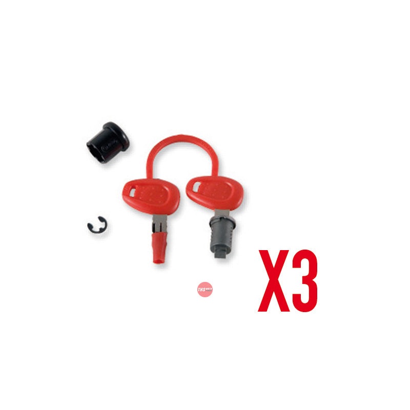 Givi 3 Lock & Key Set (not V46 V35 E52) Z228